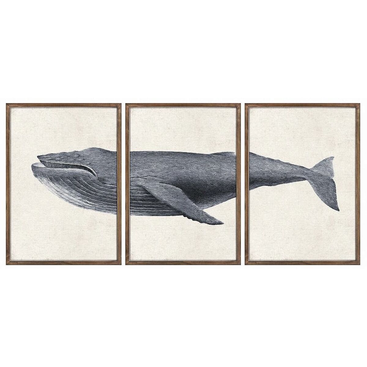 3d05bcfa99c2904f68e1df0a560659d2