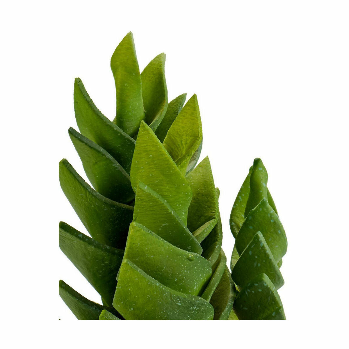 4df0fb5ec5adf77755c2ff1c875456aa