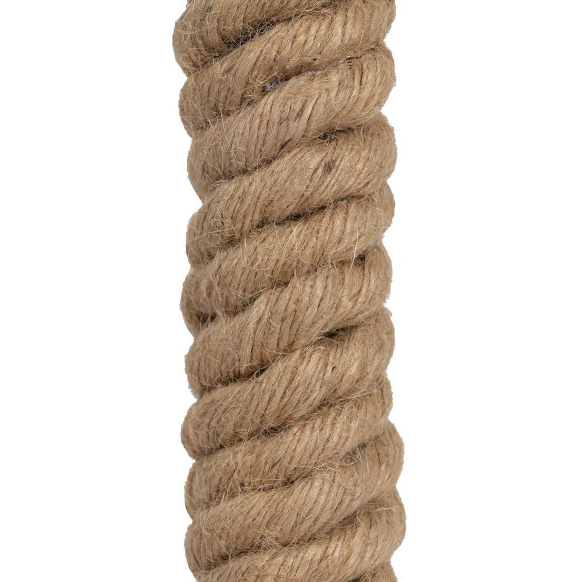 8952ba09aec1e6d9ffbf4ccf8f2182a6