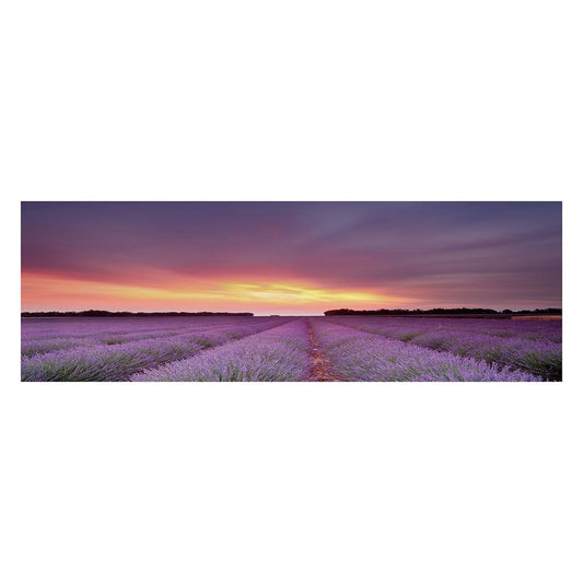 c36e696321c06ebf104085b6f909ccde