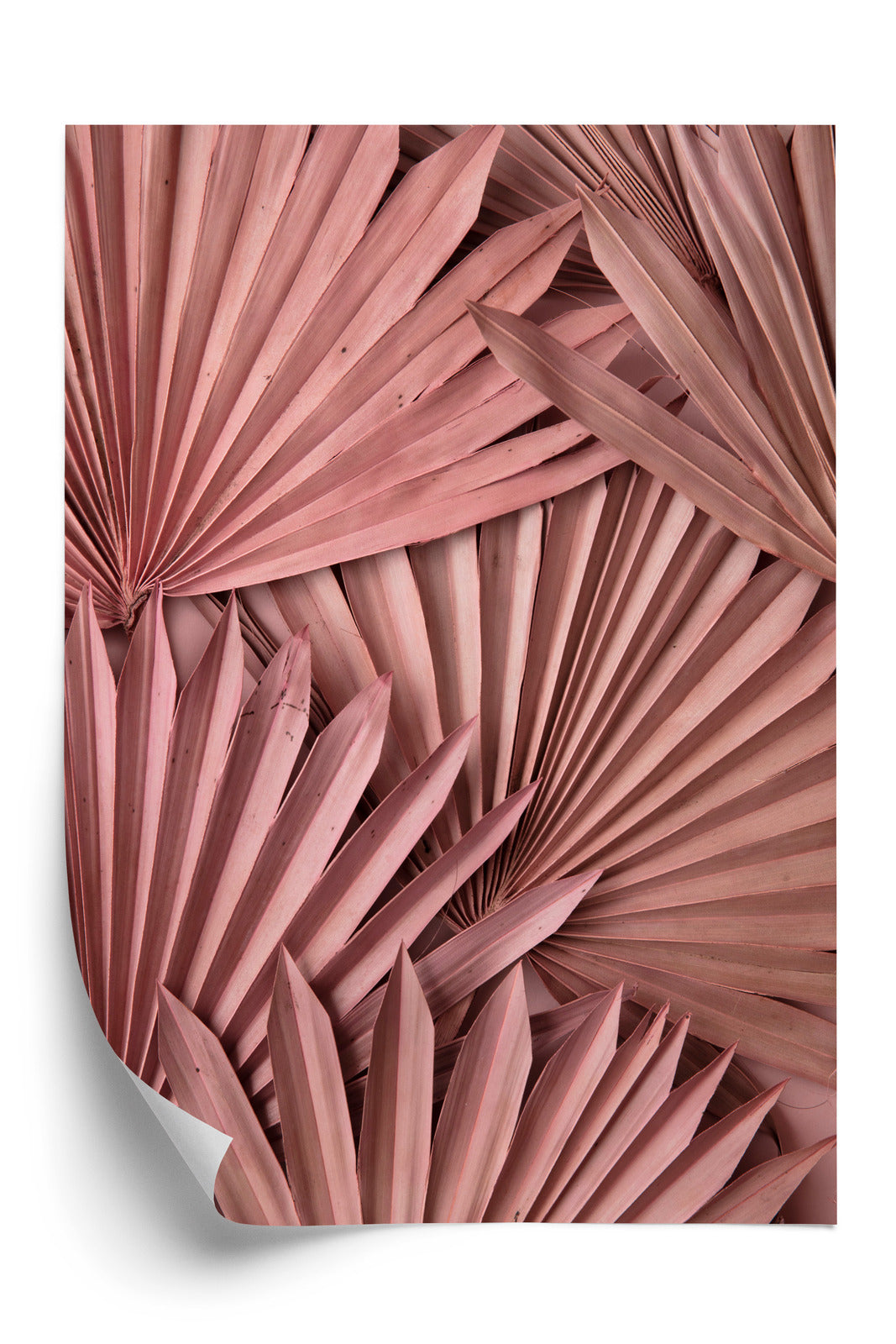 9b4c4d031e52eb3ccc04ffacb251b56b