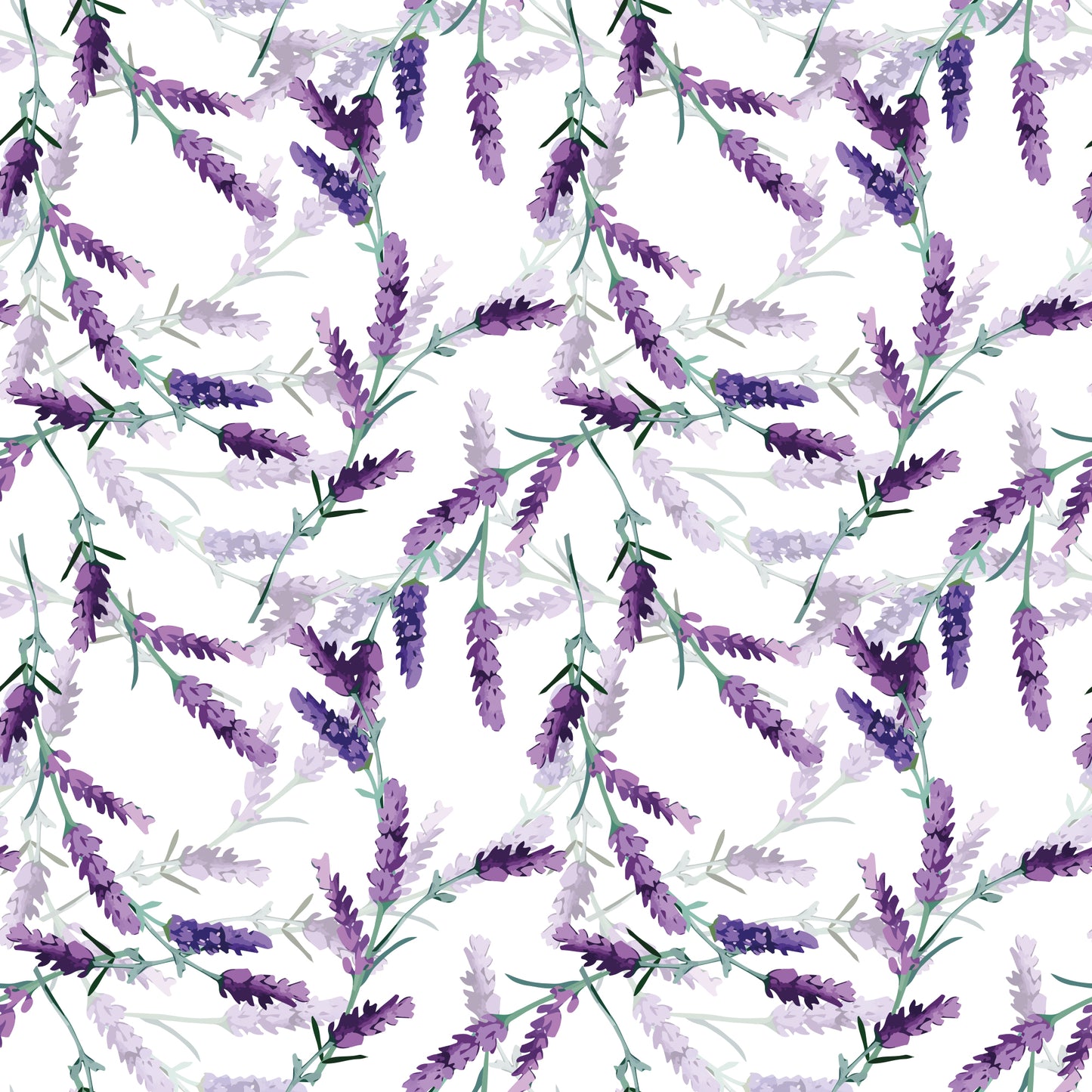 f491cf3950a02c28f82c442ee95c39da