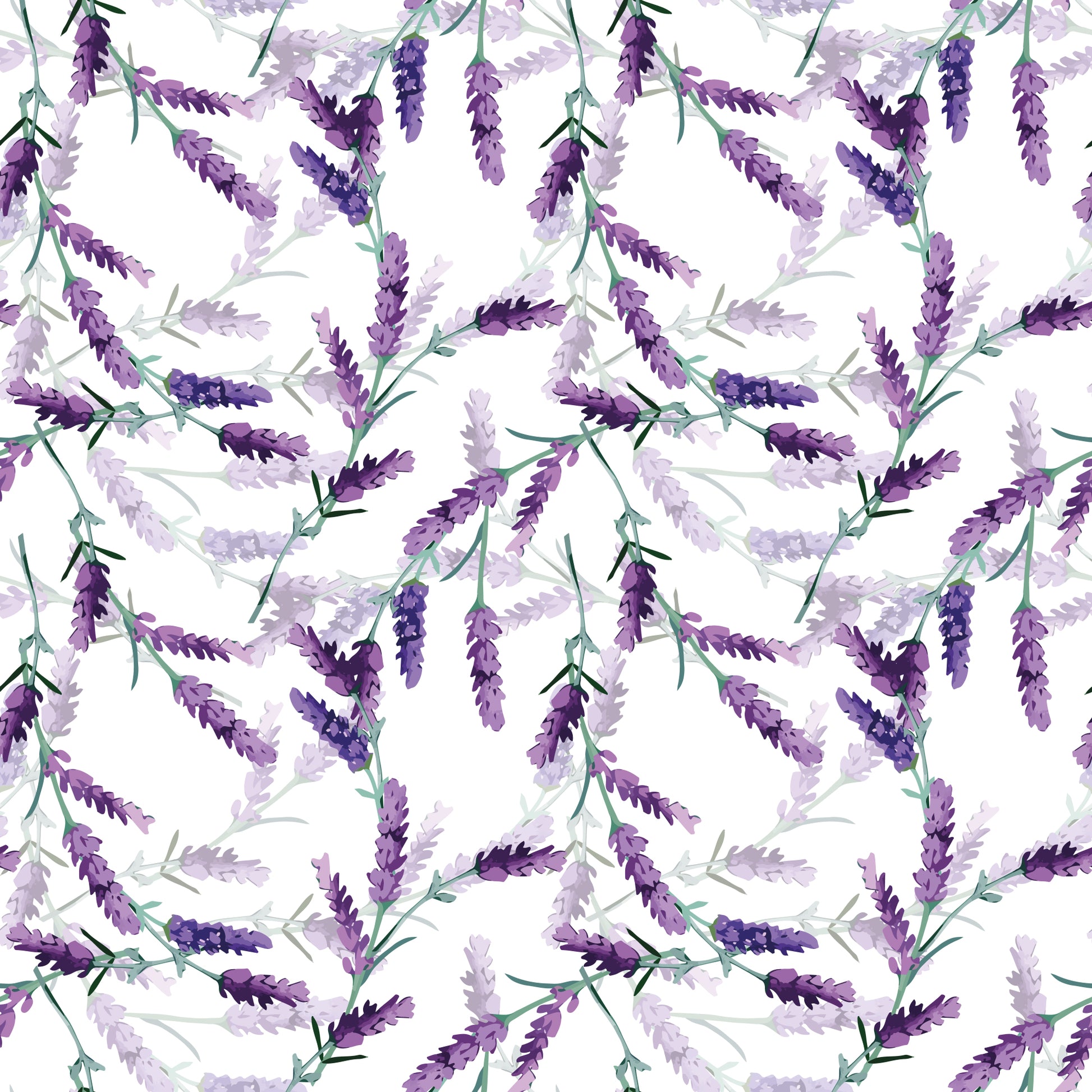 f491cf3950a02c28f82c442ee95c39da