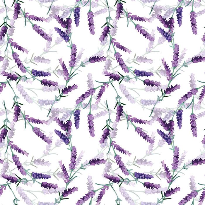 5cc3232df1ae3edf1eb4dbc4fdb9daba
